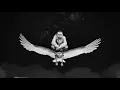 Mac Miller - Hand Me Downs (Lyrics)