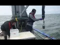 Download Lagu Sampling on Wadden Sea with RV Navicula on 11 June 2020