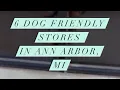 A guide to dog friendly stores in Ann Arbor Michigan