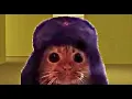Comrade Cat is Mother Russia s STRONGEST weapon