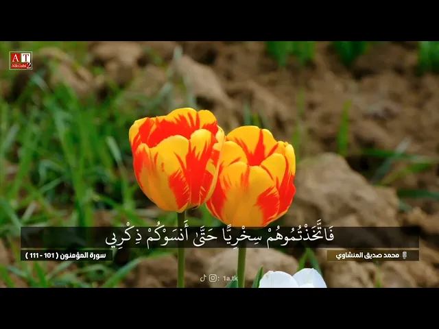 ⁣فَإِذا نُفِخَ فِي الصُّورِ فلَا أَنسابَ بَينَهُم .. || تلاوة تلامس القلب .. الشيخ محمد صديق المنشاوي