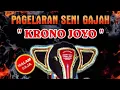 Lagu LIVE🔴SENI GAJAH KRONO JOYO  DIDESA GABEL KAUMAN SUMOROTO DALAM RANGKA TASYAKURAN