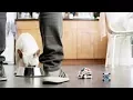 Anki Cozmo Robot Feeding Time