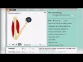 Lab 1 The Muscular System Gizmo