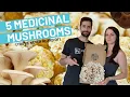 5 Medicinal Mushrooms You ve Never Heard Of Benefits and More