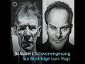Schwanengesang, D. 957: No. 13, Der Doppelgänger