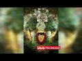 Download Lagu अपनो ने मुझे बाबा कभी काबिल ना समझा.... रिश्तो मे उलझा कर उलझा के ही रखा।।।।श्याम बाबा का सुंदर भजन