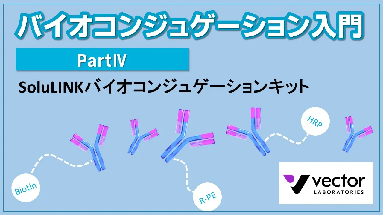 バイオコンジュゲーション入門【Part4】SoluLINKバイオコンジュゲーションキット　※再掲載