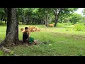 Download Lagu Suling Krisna Madura \