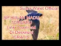 Download Lagu SP Bulan Madu Terbaru - GRATIS \