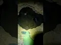 Download Lagu Guna cave🤯😱real guna cave😱 #Manjummel Boys#shorts#viral