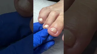 Cortas en seco o en húmedo? Prueba de esta manera y me cuentas
