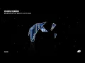 Chris Veron - Bluster Of The Sea (Beico Remix) // SA088