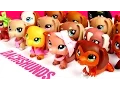 All My LPS Dachshunds UPDATED