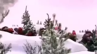 مزمار دندنها