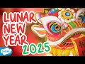 What is Lunar New Year? | Chinese New Year for Kids