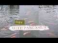 Download Lagu Enjoy with pangasius