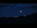 Caan - Into the Night (Synkro remix)