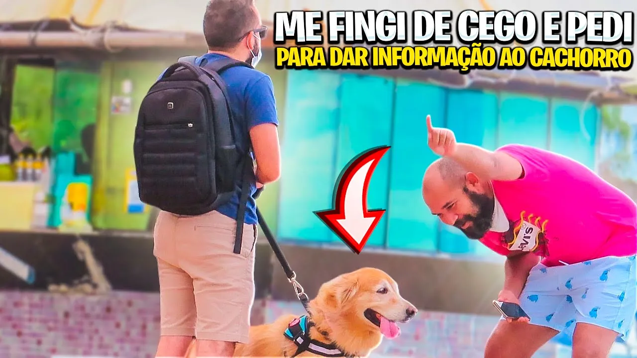 ME FINGI DE CEGO E PEDI PRA DAREM INFORMAÇÃO AO MEU CACHORRO : MANDE A SUA #205