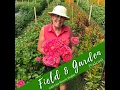 Florists Buying Local Winter Sourcing with Ellen Frost