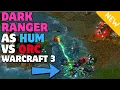 Download Lagu Dark Ranger MASS FOOTMEN vs Fly – Genius or Madness?