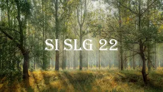 swiftlet sound internal si slg 22