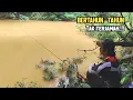 Download Lagu Gak main2..!!! Baru pertama dibuka pemancing ikan-Nya keluaran karena aroma umpan