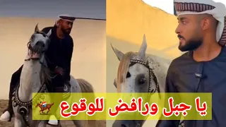 المنشد أحمد حسن الأقصري  يا جبل ورافض للوقوع    دندنها