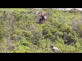 Lelaki pemburu rusa jantan