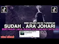 Download Lagu DEMI NYAWA INI KU TARUHKAN - SUDAH - ARA JOHARI || BERTAHUN LAMA SUDAH KITA JALANI CINTA INI
