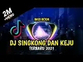 Download Lagu DJ SINGKONG DAN KEJU TERBARU 2021 BASS BEKU AUTO GELENG