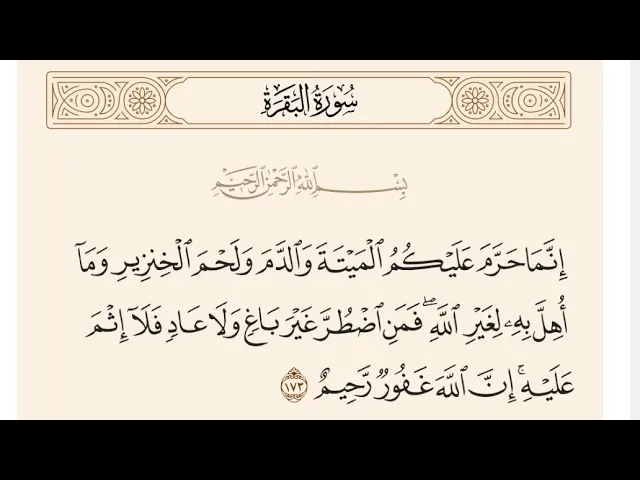 ⁣آيات الأحكام| يتبع شرح الآية{إِنَّمَا حَرَّمَ عَلَيْكُمُ الْمَيْتَةَ وَالدَّمَ} -السيد صباح شبر