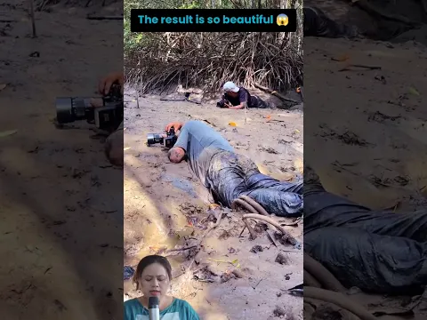 The Result is too beautiful #shorts #viral #trending #reels #wildlife