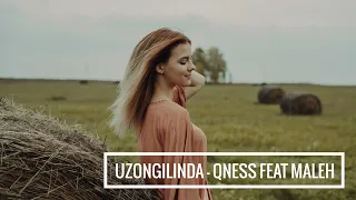 uzongilinda qness feat maleh