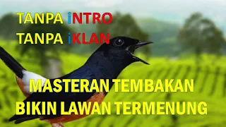 Download Masteran tembakan bervariasi burung FIGHTER untuk Murai Batu Kacer dan Cucak Ijo MP3