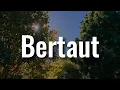 Download Lagu Bertaut,  Kembali Pulang,  Terlanjur Bawa Perasaan (Lirik) -  Nadin Amizah | Mix…