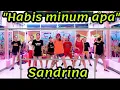Download Lagu HABIS MINUM APA BY SANDRINA / C.A STUDIO
