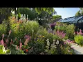 Download Lagu June Garden Tour I 40+ Flowers Blooming Now | Perennial Garden