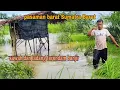 Download Lagu BANJIR LAGI..!! PASANG JARING DI SEKITAR PONDOK LADANG, MASAK MAKAN MALAM MP3