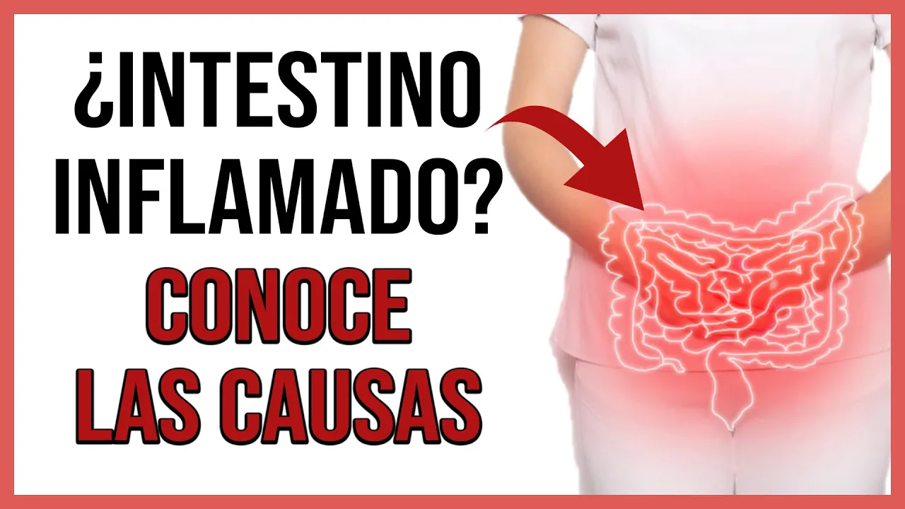 🚨Conoce los FACTORES que intervienen en la aparición de ENFERMEDADES INTESTINALES - Juan Serrano