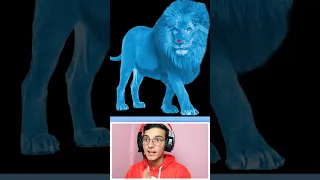 اسد لديه قوه خارقه 