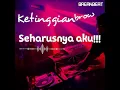 Download Lagu [BREAKBEAT] Seharusnya Aku!! #dj #housemusic #remix #funkot #jungledutch #remixdugem #breakbeat