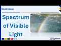 The Spectrum of Visible Light Grade 8 Term 3 Natural Sciences