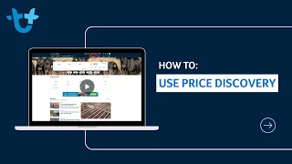AuctionsPlus How To Use Price Discovery