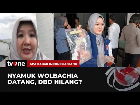 Pro Kontra Penyebaran Nyamuk Wolbachia, Begini Penjelasan Kemenkes