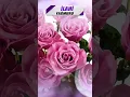Download Lagu Adem Gibi İlahisi - Abdurrahman Önül - İlahi Yağmuru #ilahiler #ilahi #shorts #short