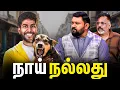 Download Lagu Humans Vs Street Dogs?🥊 | Neeya Naana Issue🐕