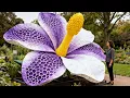 Lagu Unbelievably Beautiful Flowers That Feel Like Pure Art