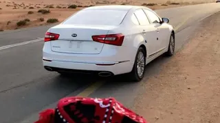 اغاني خليجيه هجوله كيف حالك يامفارق هالحشا طرب الطرب مطلوبه اكثر شي 