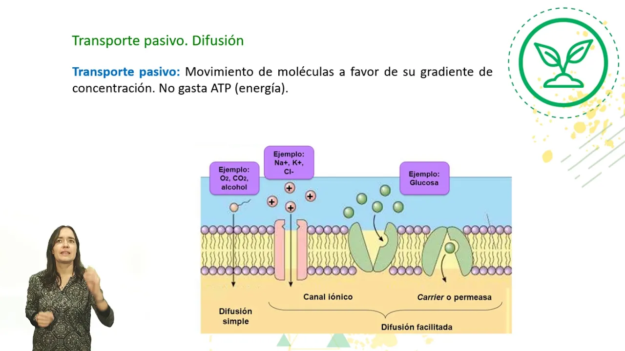 Biología Nivel I - "Intercambio célula ambiente" - Clase N°2